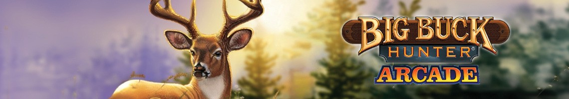 Perfect voor Snelle Sessies: Big Buck Hunter Arcade