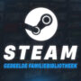 Steam Family Sharing: Hoe je een Steam-spelbibliotheek deelt