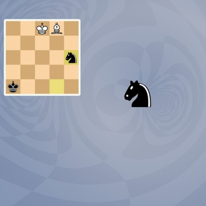 5D Chess With Multiverse Time Travel - Ridder