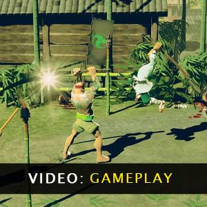 9 Monkeys of Shaolin Gameplay Video