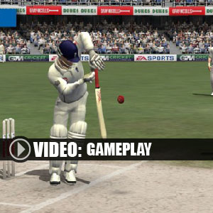 Ashes Cricket PS4 Gameplay Video