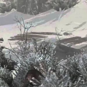 Assassin’s Creed 3 The Tyranny of King Washington Sneeuw