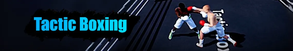 EEN TURN GEBASEERD TACTISCH BOKSSPEL: TACTIC BOXING