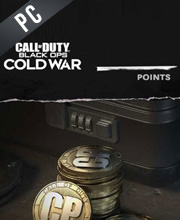 Call of Duty Black Ops Cold War Punten