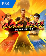 Cobra Kai 2 Dojos Rising Playstation 4