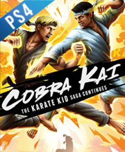 Cobra Kai The Karate Kid Saga Continues Playstation 4