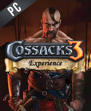 Cossacks 3 Experience