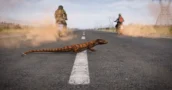 DayZ Badlands DLC: Hoe Je Kunt Besparen Op De Officiële Prijzen