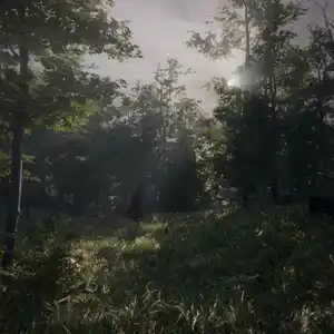 Dead Man’s Diary - Bos