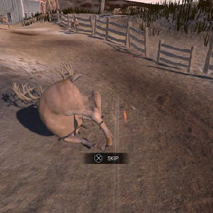 tracking and hunting