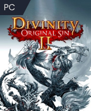 Divinity Original Sin 2 Pc