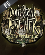 Don't Starve Together All Verdant Spring Chest Pc
