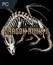 Dragon Ruins 2 Pc