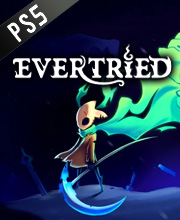 Evertried Playstation 5