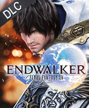 FINAL FANTASY 14 ENDWALKER Pc
