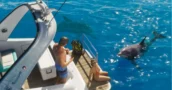 GTA 6 Verschijnt Mogelijk al Vier Maanden Na Console-Release op PC