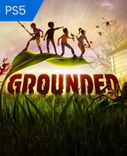 Grounded Playstation 5