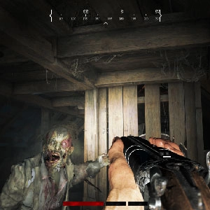 Hunt Showdown Co-op