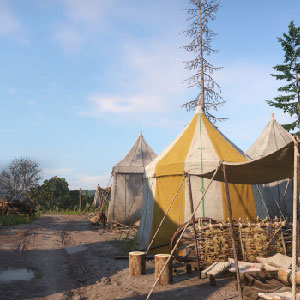 Massive realistic open world