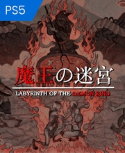 Labyrinth Of The Demon King Playstation 5