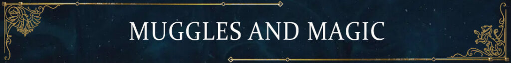 Muggles en Magie: Gamers Spreken over het Harry Potter Universum