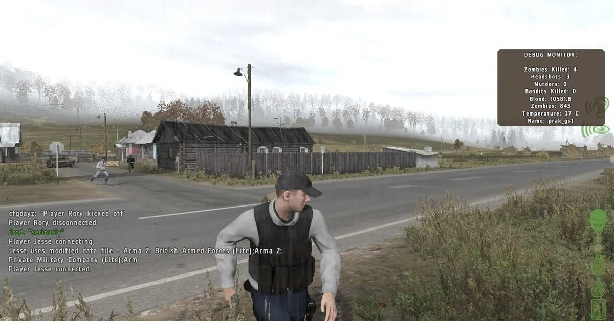 DayZ