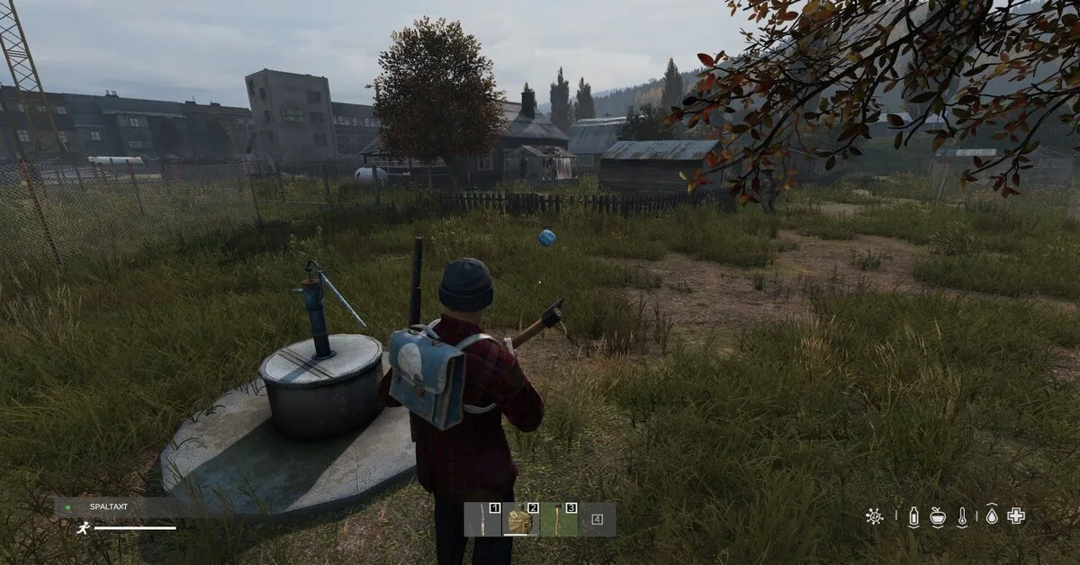 DayZ