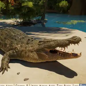 Planet Zoo 2 - Zoutwaterkrokodil