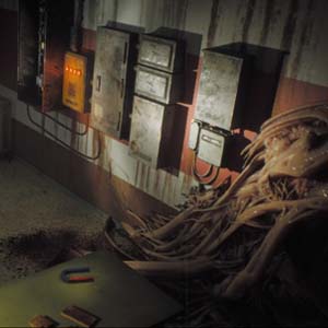 Post Trauma Vleesmassa