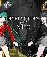 Reflection of Mine Pc