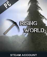 Rising World Pc