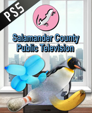 Salamander County Public Television Playstation 5