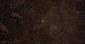 Scavland Vertaalt De Brutale Survival-Mechanieken Van STALKER Perfect Naar Een Top-Down RPG