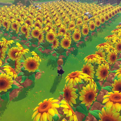 Song Of The Prairie - Zonnebloemveld