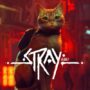 Stray: Ontmoet de echte katten die het spel inspireerden