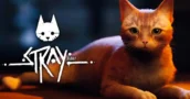 Stray: Speciale Promotie Verlaagt de Prijs voor Grote Besparingen