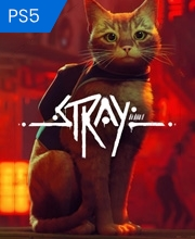 Stray Playstation 5
