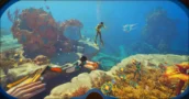 Subnautica 2 Early Access Kost Minder op Erkende Sleutelmarkten
