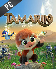 Tamarin Pc