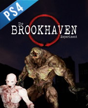The Brookhaven Experiment Playstation 4