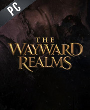 The Wayward Realms Pc