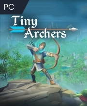 Tiny Archer Pc