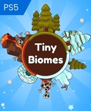 Tiny Biomes Playstation 5