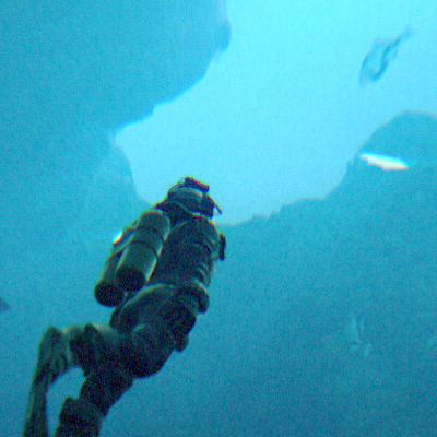 Under The Waves Onderwater