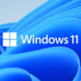 Windows 11 Pro-sleutel: Retail vs. OEM-ontleding