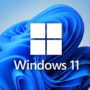 Windows 11 Pro wordt het beste OS voor PC-gamers