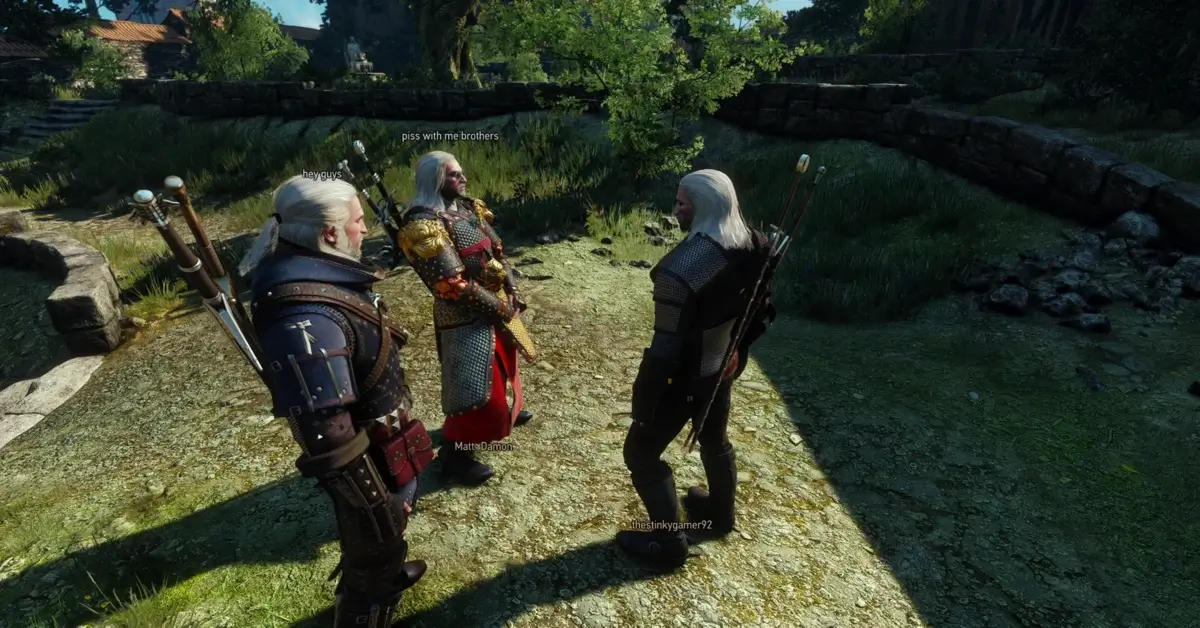 Witcher Online Mod transformeert The Witcher 3 in een co-op ervaring