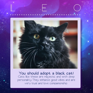 Zodiacats - Adopteer Horus