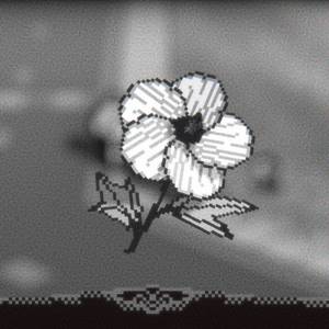 A Walk With Yiayia - Mooie kleine bloem