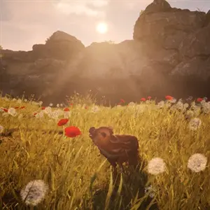 Adorable Adventures – Papaver